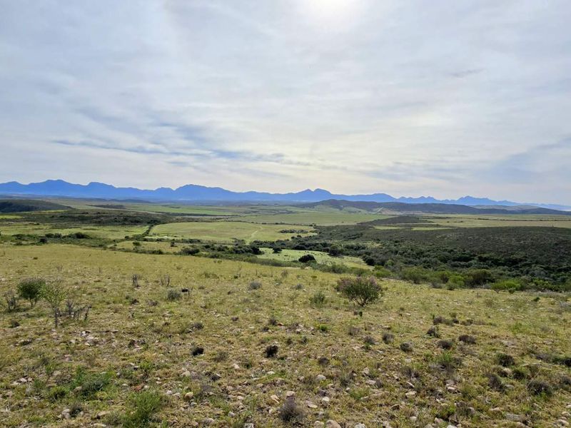 Prime 262ha Agricultural Farm for Sale Near Hartenbos - Photo 5
