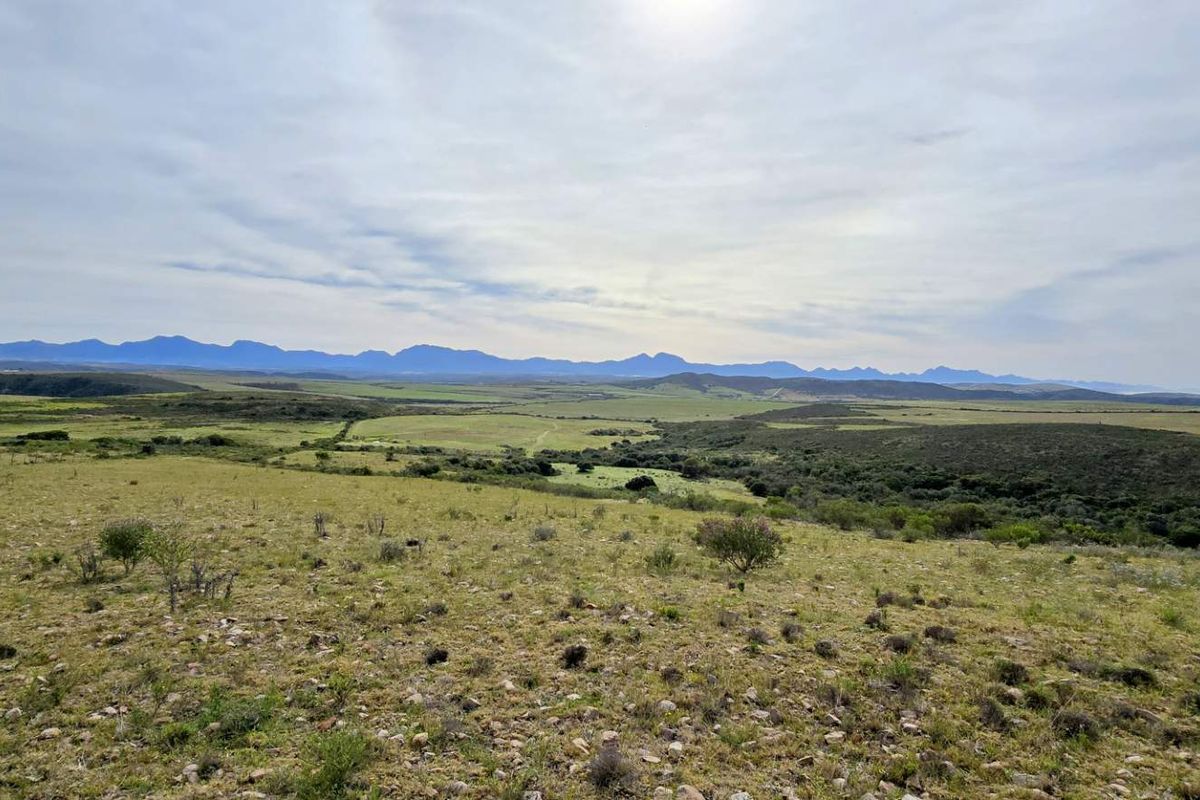 Prime 262ha Agricultural Farm for Sale Near Hartenbos - Photo 5