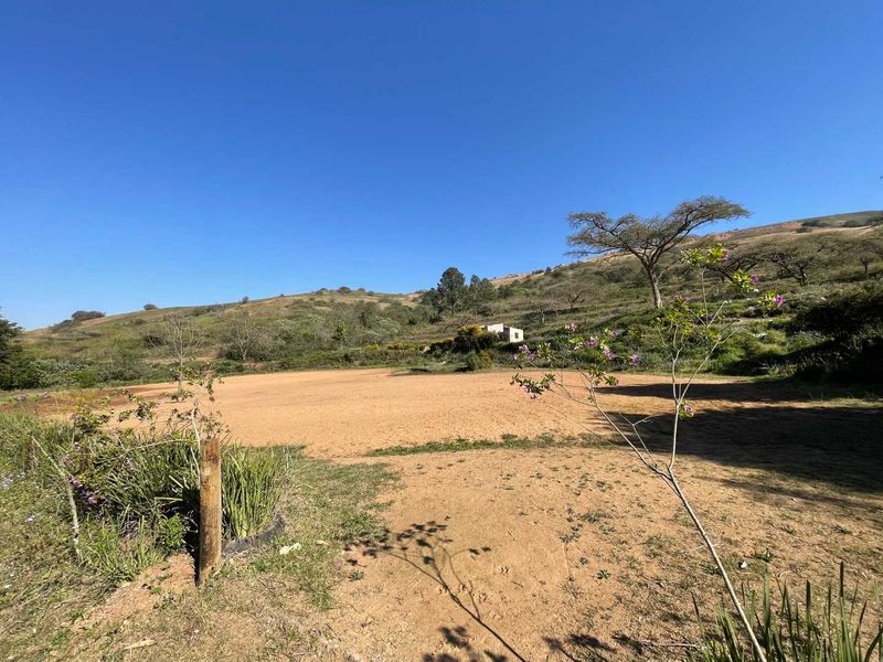 Expansive 4-Hectare Land – Ideal for Agriculture or Projects - Photo 2