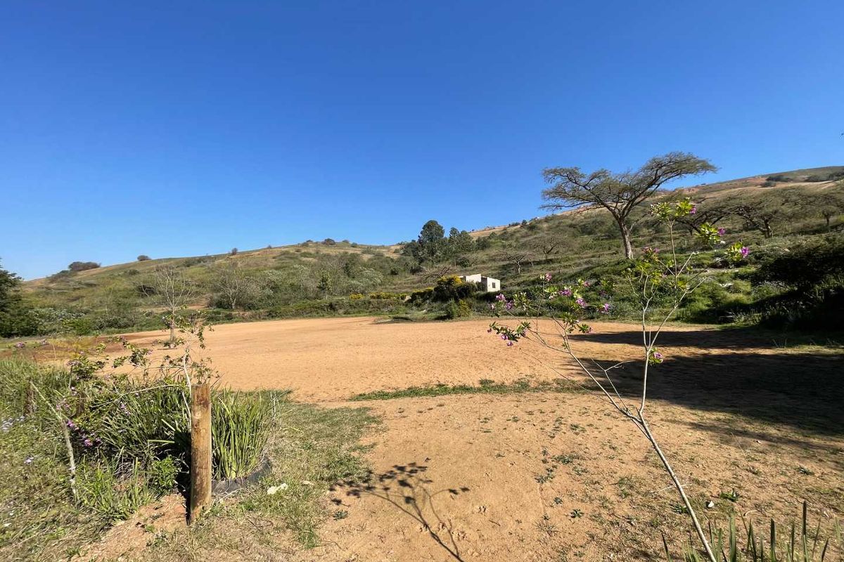 Expansive 4-Hectare Land – Ideal for Agriculture or Projects - Photo 2