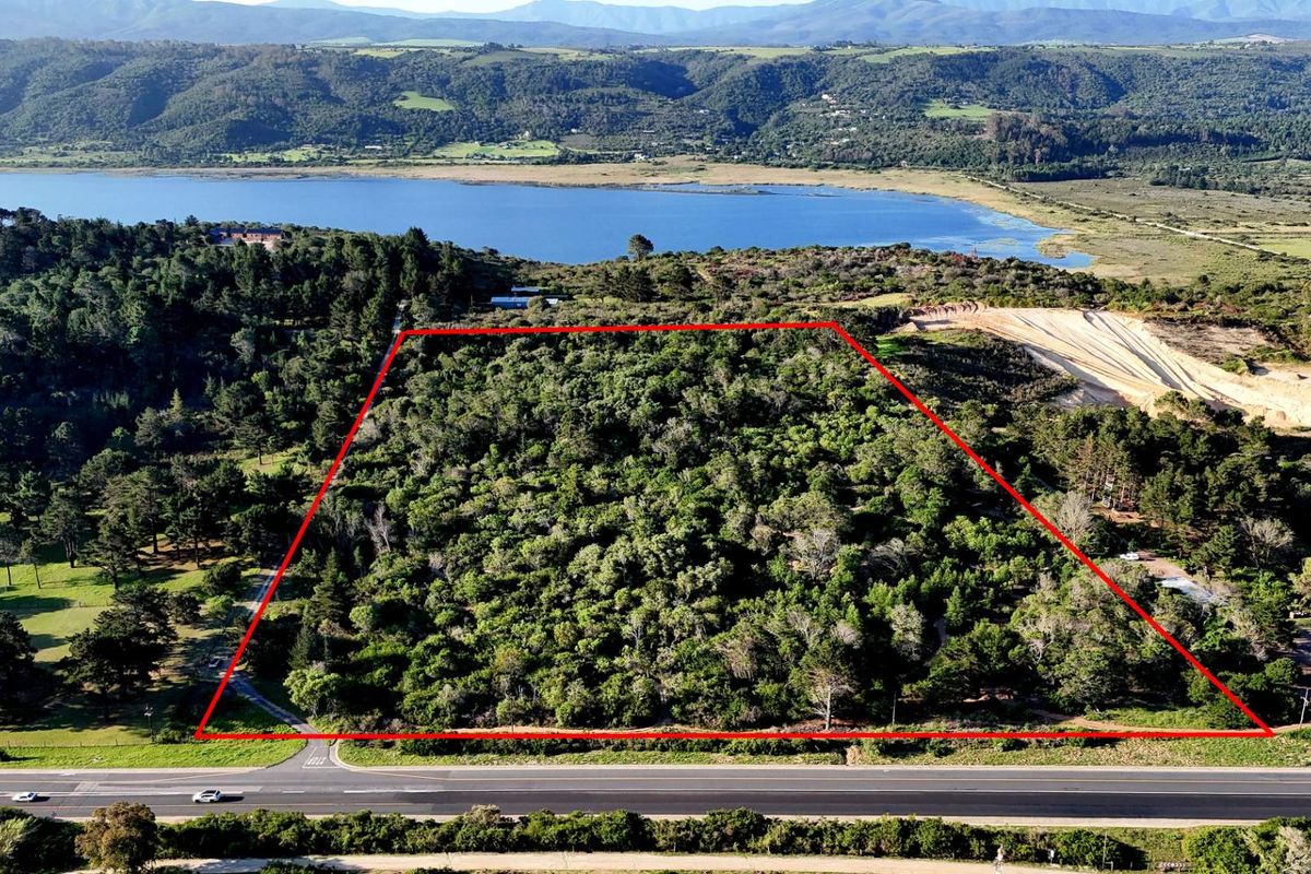 Smart Investment! Prime Land for Business or Residential Use! - Photo 2