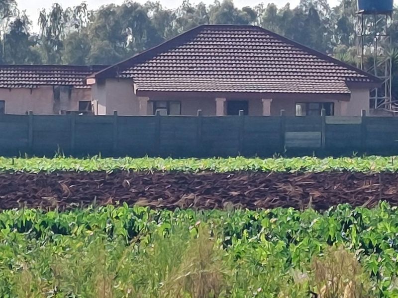A view of the rear elevation of the farmhouse, featuring a tiled roof, concrete boundary wall, and an adjacent agricultural field.