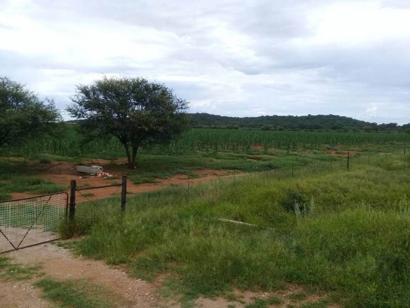 FOR SALE - PRIME 25 HA IRRIGATION PLOT FOR SALE IN TSUMEB DISTRICT - Photo 6