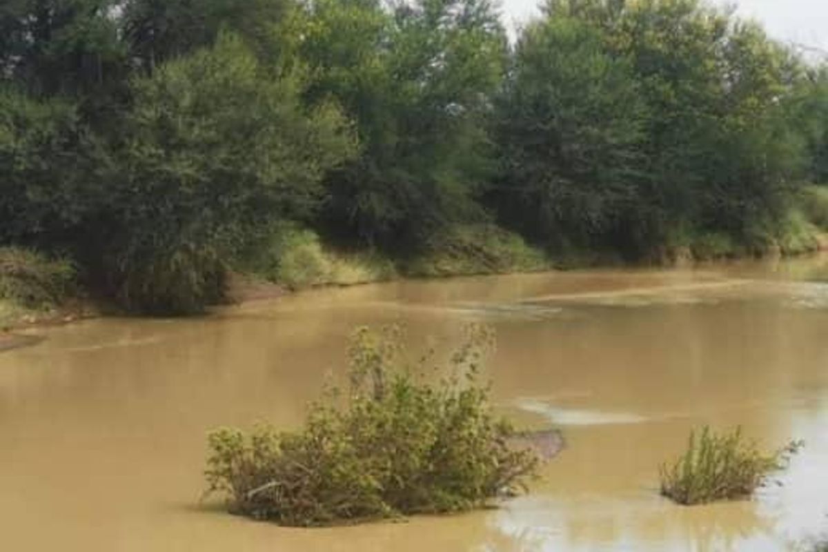 FARM FOR SALE - KEETMANSHOOP - Photo 5