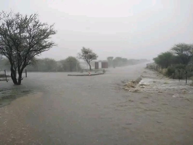 PLOT IN OSONA - Photo 4