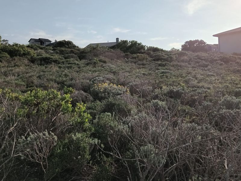 A view of a vacant residential plot covered in natural indigenous vegetation with surrounding residential properties visible in the background.
