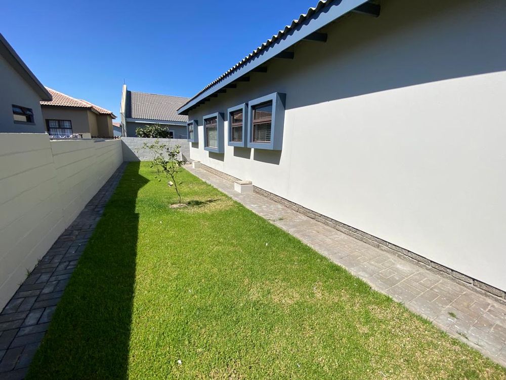 Backyard with lemon trees