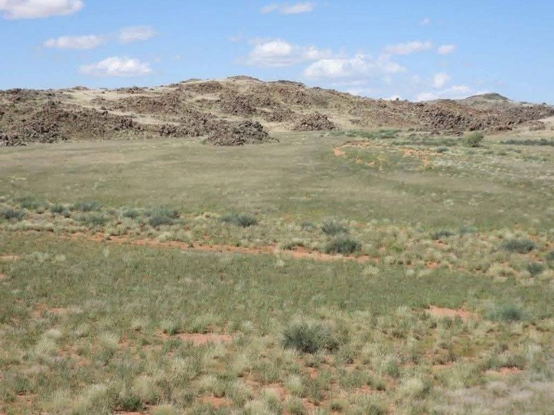 Spacious game farm in the far South of Namibia – perfectly located 266km from Keetmanshoop in the direction of Noordoewer, and only 20km from the main road. - Photo 5