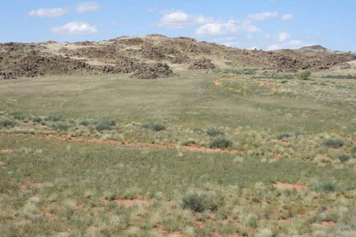 Spacious game farm in the far South of Namibia – perfectly located 266km from Keetmanshoop in the direction of Noordoewer, and only 20km from the main road. - Photo 5