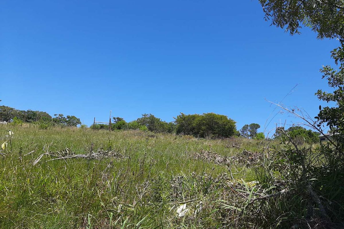 SOUGHT AFTER AREA - Photo 3