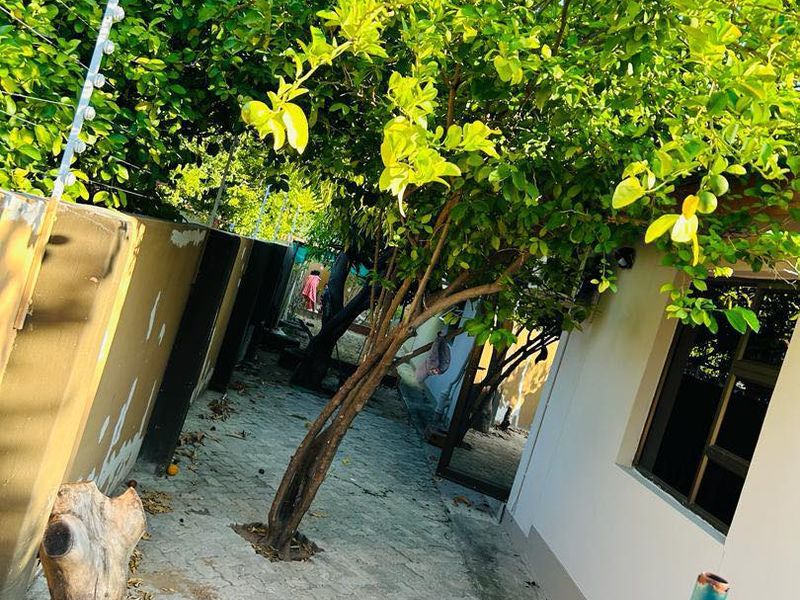 Beautiful  and secure Three bedroom standalone house to rent in Ongwediva - Photo 10