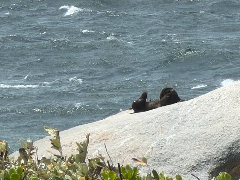 Beautiful family beach side home in Simons Town - Photo 4