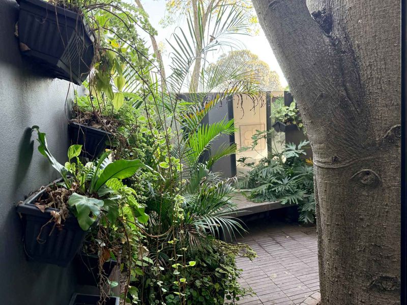 A private, paved outdoor patio area featuring a built-in bench and established garden elements, offering a quiet and secluded retreat.