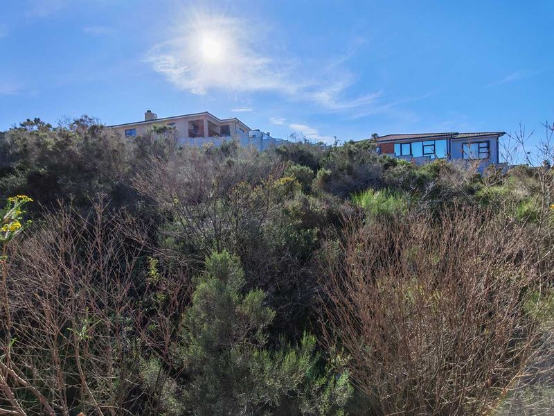 A view of the sloped, undeveloped residential land featuring native vegetation with neighbouring properties visible in the background.