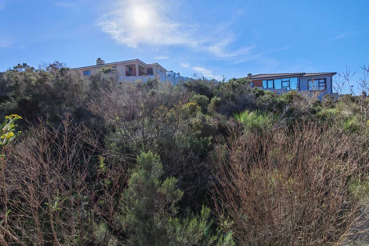 A view of the sloped, undeveloped residential land featuring native vegetation with neighbouring properties visible in the background.