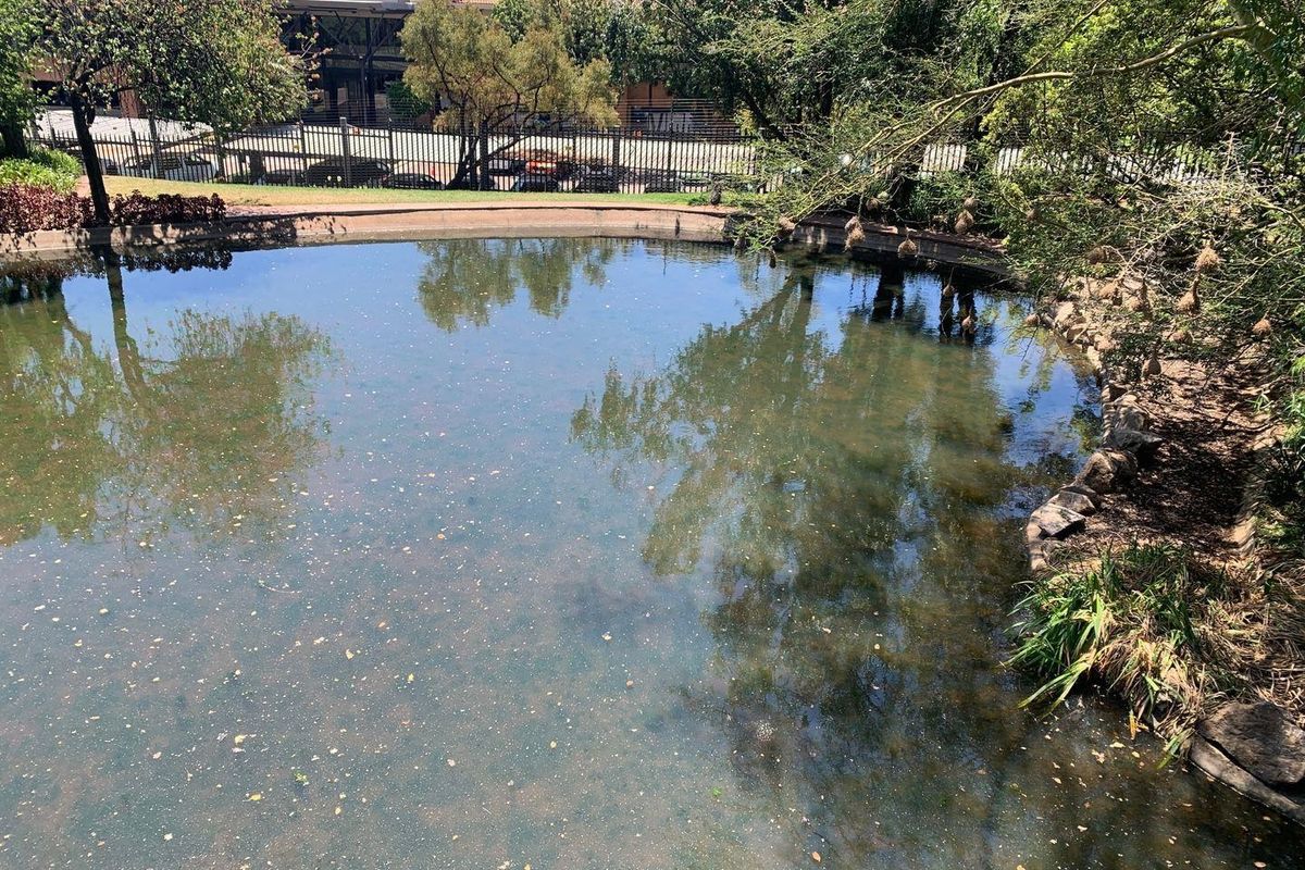 453m2 Woodmead Office To Let - Photo 4