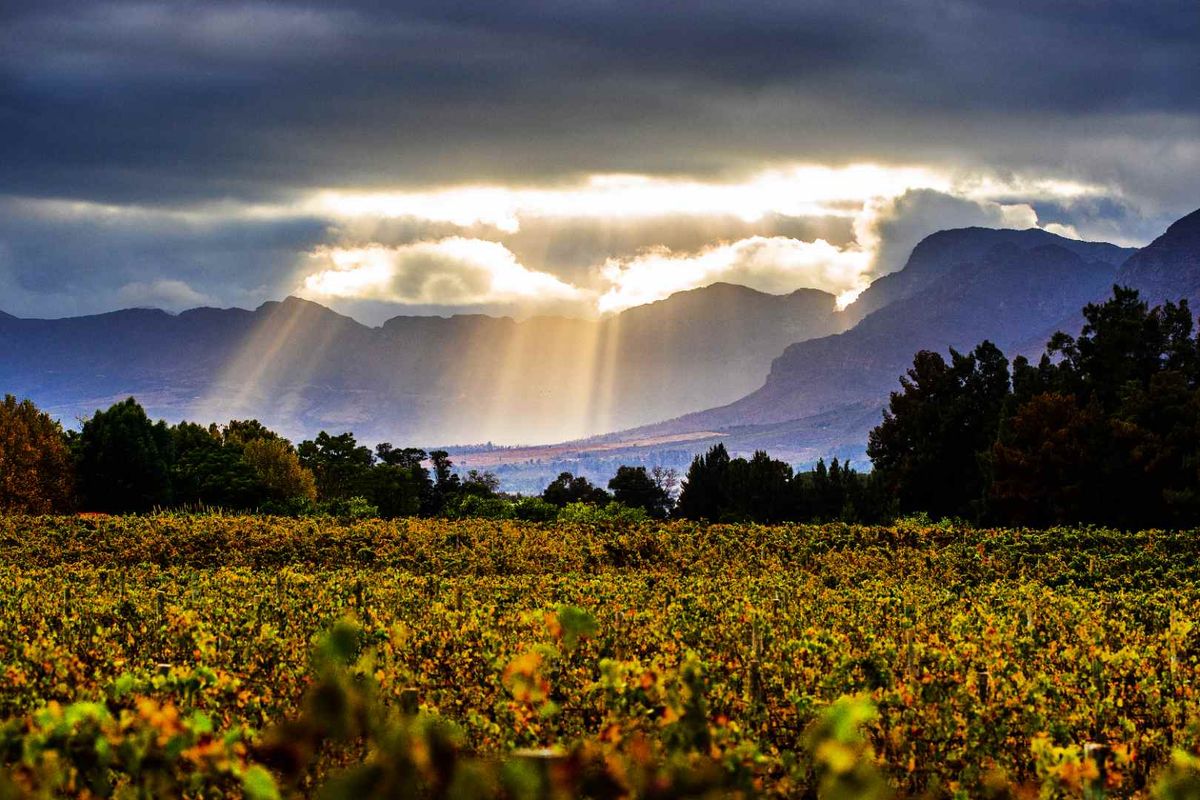 Build a 27 Hectare Legacy Estate on a Scenic Winelands Landscape at Val de Vie Estate - Photo 2