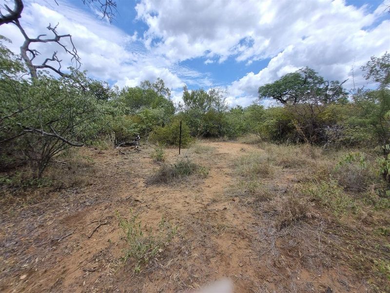 A view of a vacant residential plot featuring natural bushveld vegetation and a survey marker.