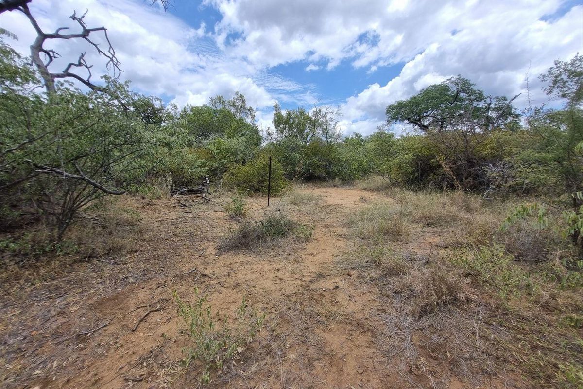 A view of a vacant residential plot featuring natural bushveld vegetation and a survey marker.