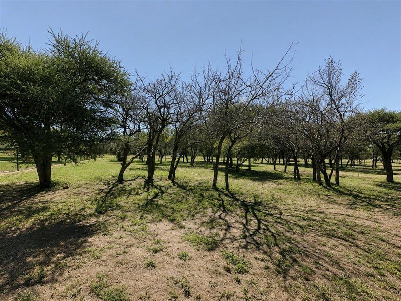 Commercial Stand for Sale - Zandspruit Boulevard, Hoedspruit - Photo 2