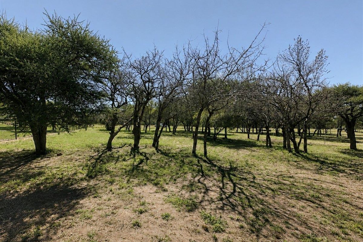 Commercial Stand for Sale - Zandspruit Boulevard, Hoedspruit - Photo 2