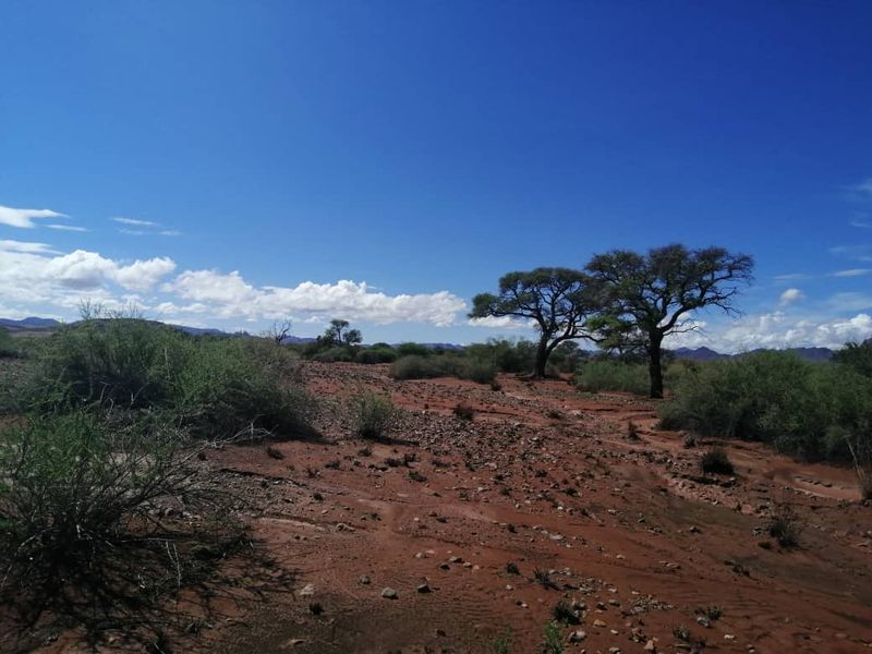 BEAUTIFUL LIVESTOCK / TOURISM / HUNTING FARM FOR SALE NEAR BETTA - NAMIBIA - Photo 5
