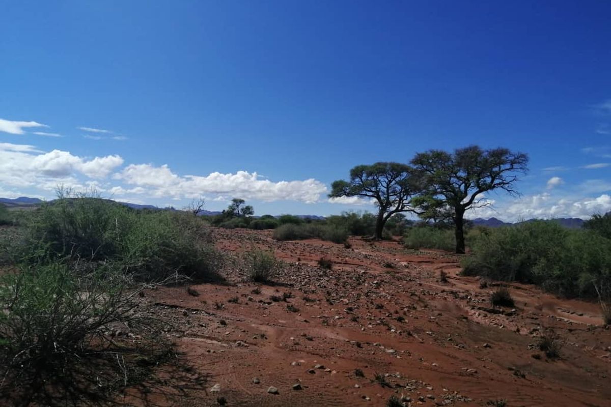 BEAUTIFUL LIVESTOCK / TOURISM / HUNTING FARM FOR SALE NEAR BETTA - NAMIBIA - Photo 5