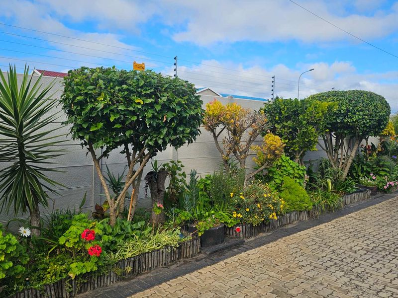 Spacious holiday apartment steps from shops & medical care - Photo 5