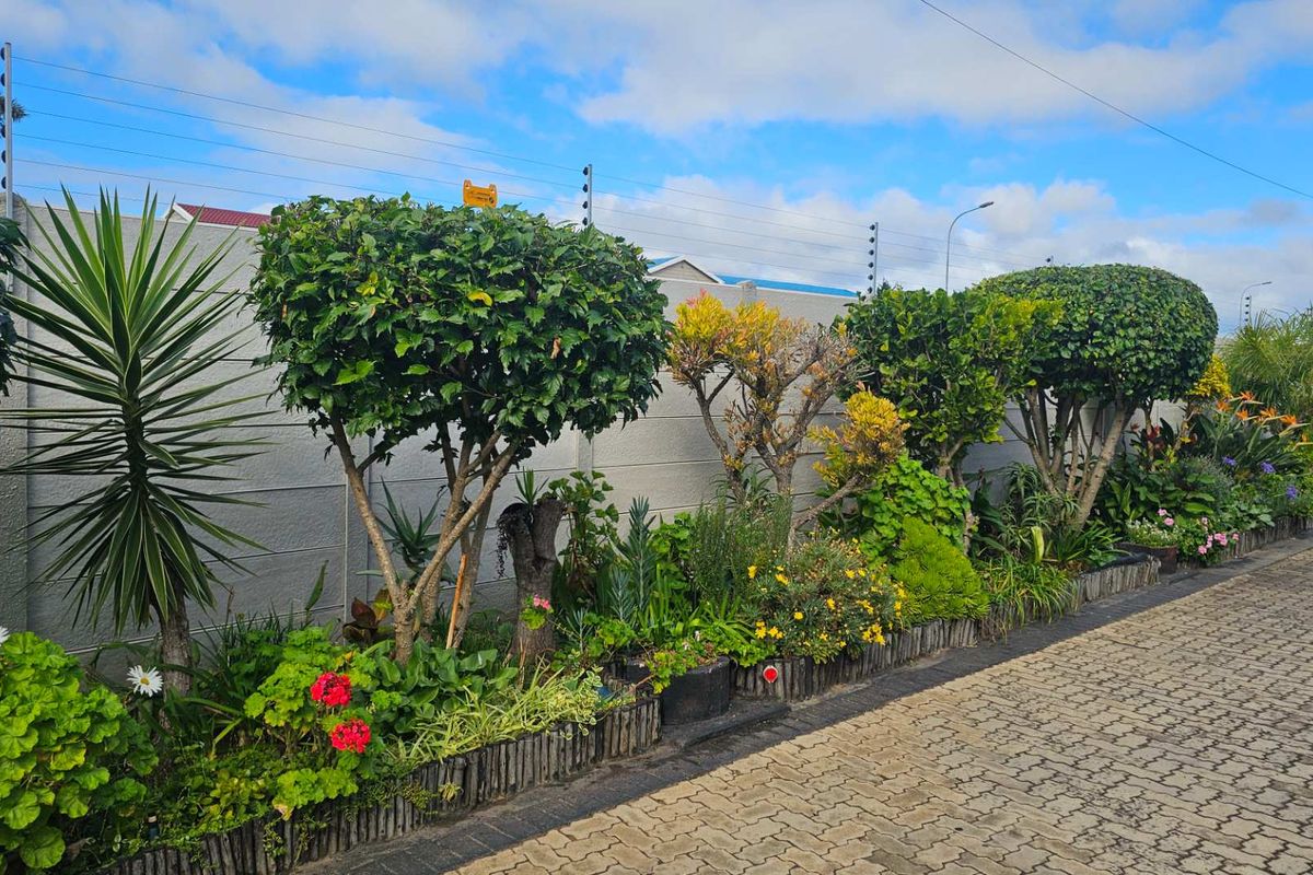 Spacious holiday apartment steps from shops & medical care - Photo 5