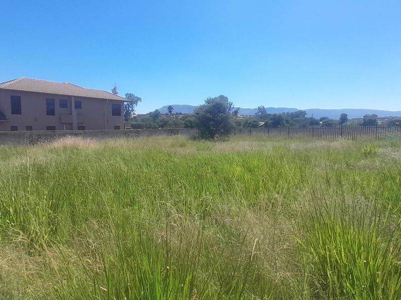 Large Flat Stand Jacana Bay! - Photo 6