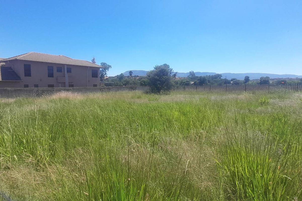 Large Flat Stand Jacana Bay! - Photo 5