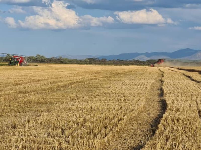 Expansive agricultural farmland featuring a center pivot irrigation system with mountain views in the background.