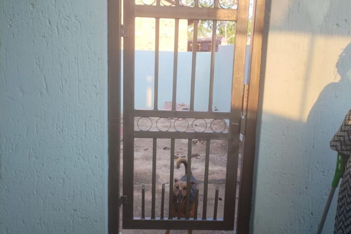 3 Bedroom in Mamelodi - Photo 4