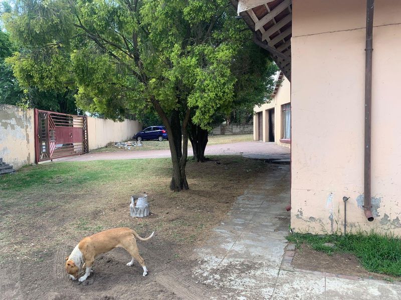 3 Bedroom house in Lombardy East with 2 Flatlets. - Photo 10