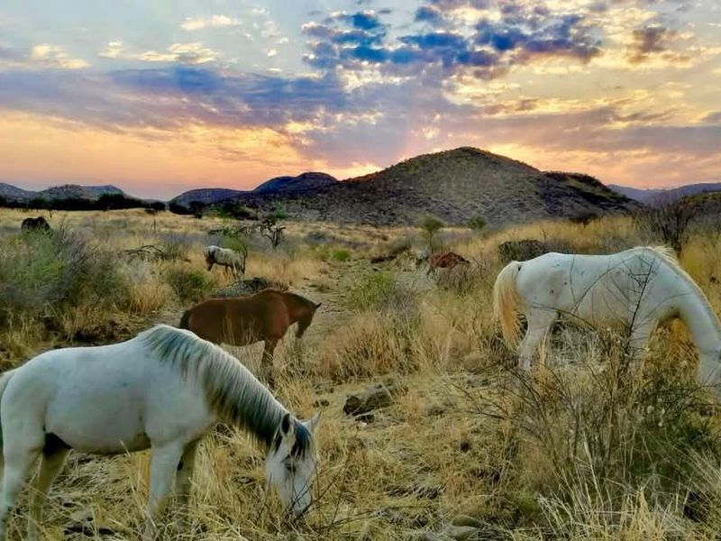 A scenic landscape view of the farm property featuring open grazing land with mountains in the background at sunset.