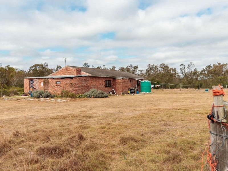 Prime 9 Hectare Smallholding | Agricultural Zoning | Port Elizabeth - Photo 4