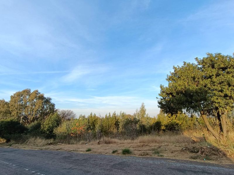 A view of a vacant residential plot from the adjacent asphalt road, featuring established trees and natural vegetation.