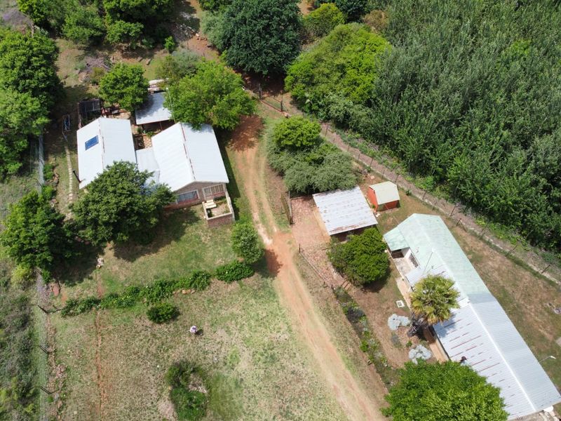 Income-Generating Smallholding with Water Security and Development Potential - Photo 3