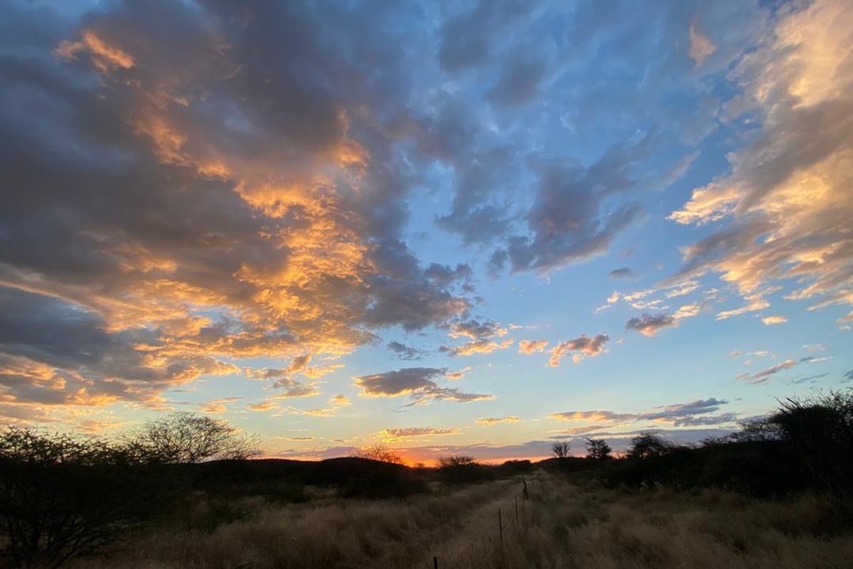 A 700 hectare farm just outside Outjo, where the bushveld opens into wide plains and clear skies, lies a well-developed farm — Ideal for irrigation & small stoc - Photo 2