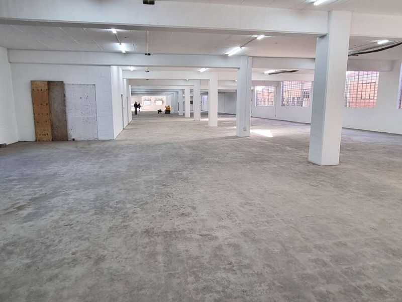 Expansive open-plan industrial warehouse space featuring concrete flooring, structural support columns, and large steel-framed windows providing ample natural light.