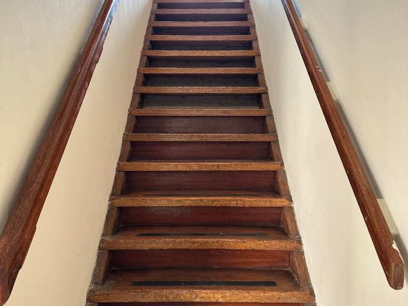 Peaceful living in South End: Sunny and pleasant unit - Photo 5