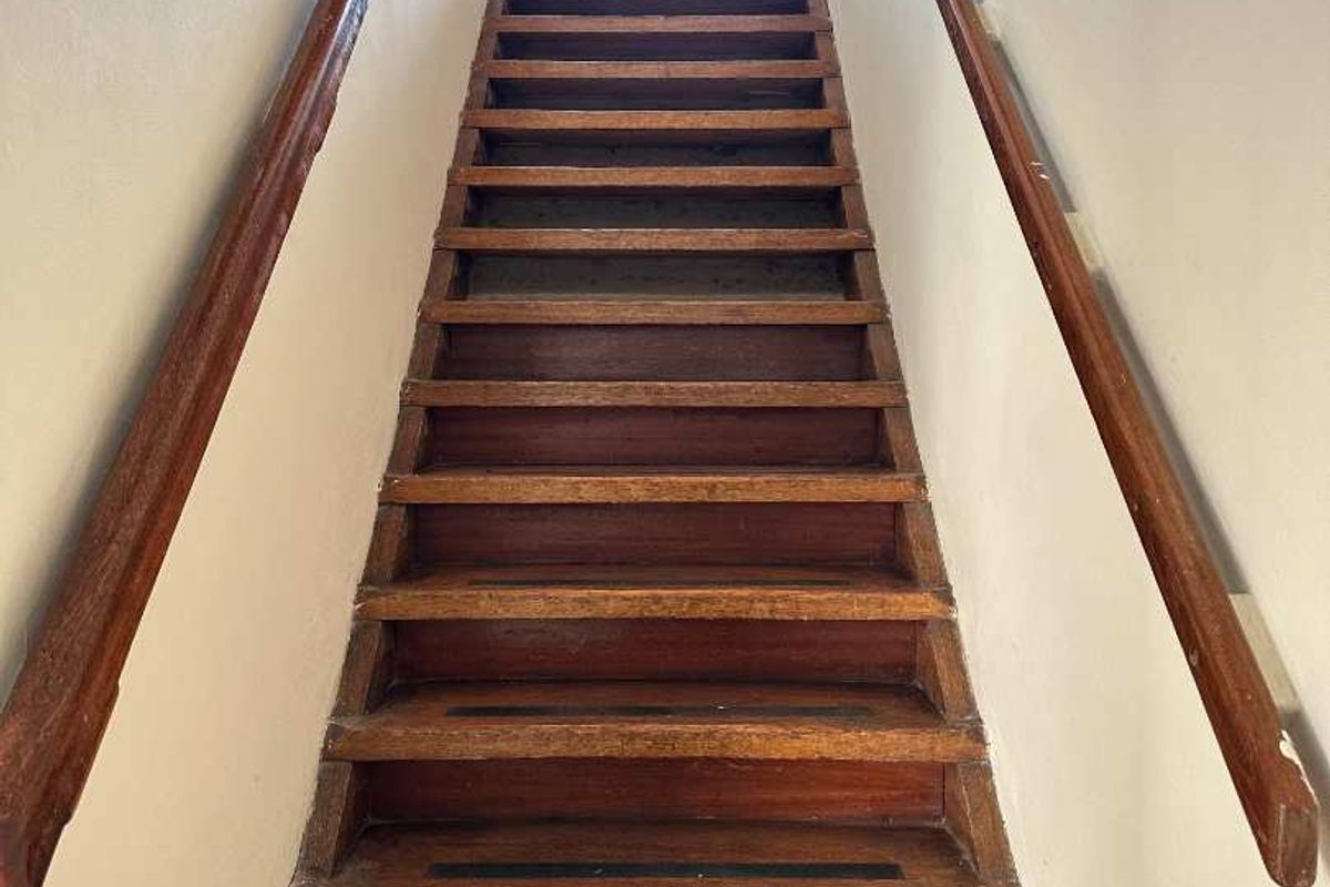 Peaceful living in South End: Sunny and pleasant unit - Photo 5