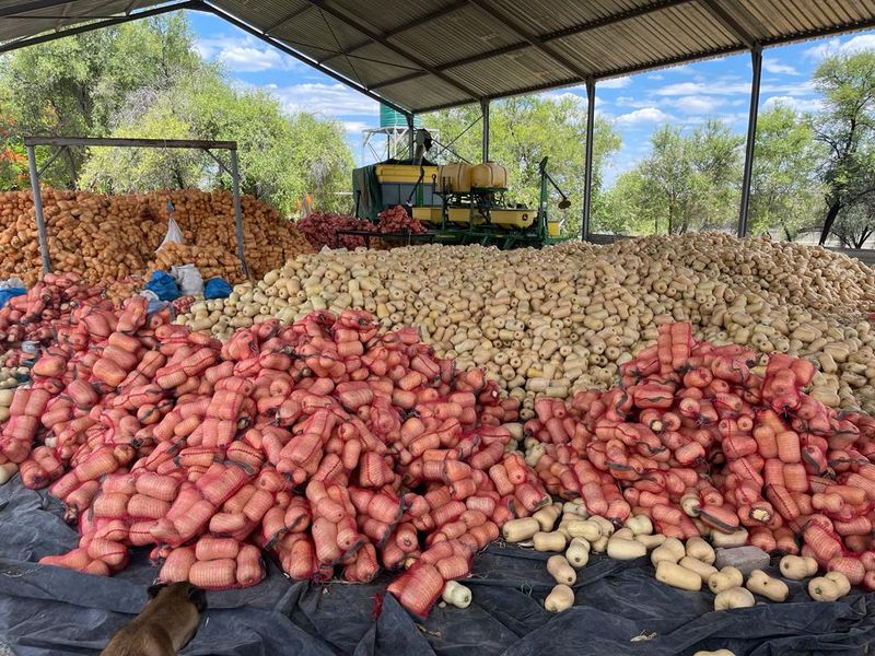 Exceptional Agricultural Estate with Off-Grid Solar Plant and All-Inclusive Goods - Photo 9