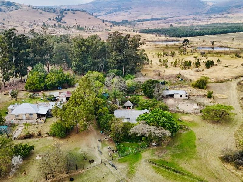 Farm for sale towards Hlobane Area - Photo 9