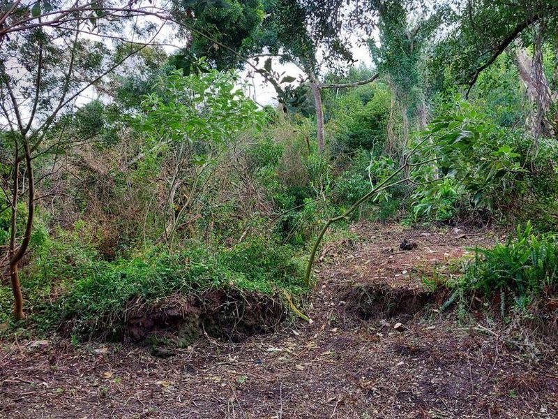 Vacant Land in Paradise - Photo 7