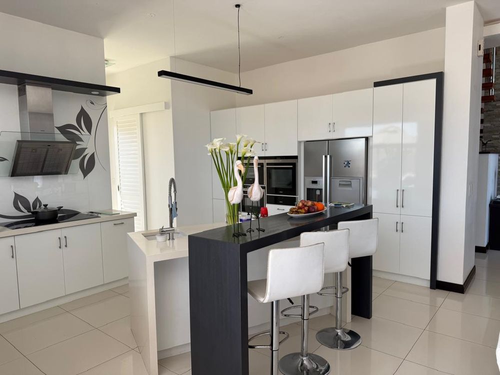Another angle of the open plan kitchen area