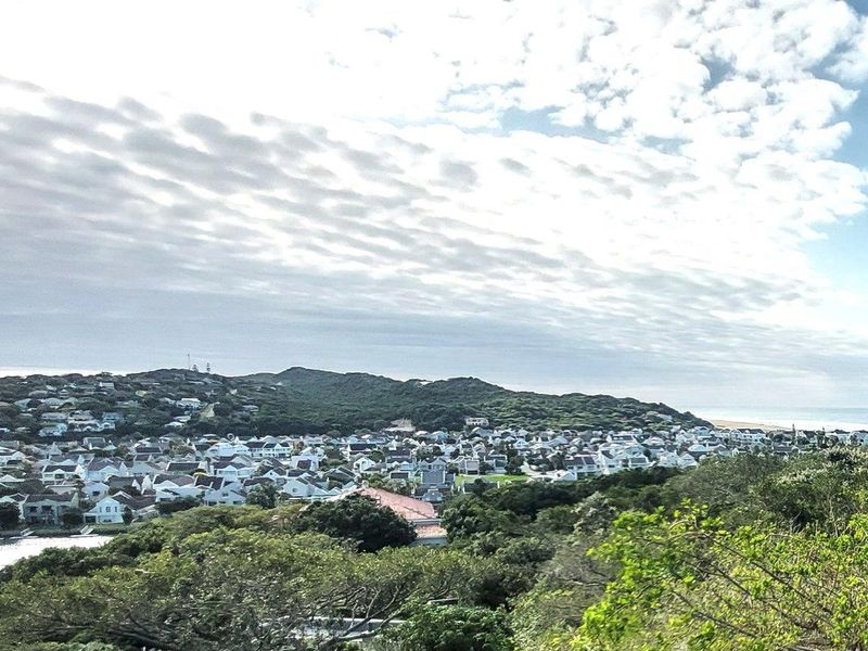 Elevated panoramic view overlooking the coastal residential estate, surrounding greenery, and distant ocean horizon.