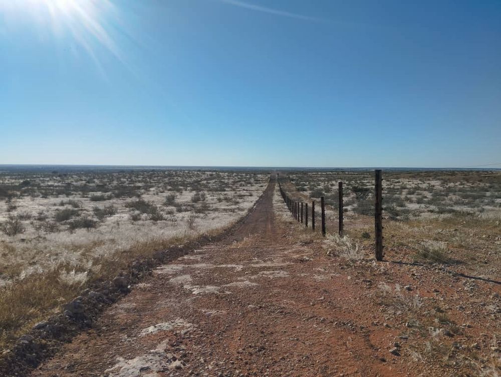 overview of farm land