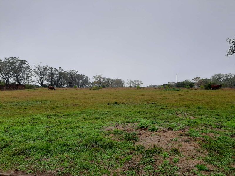 LARGE SIZED PLOT - Photo 2