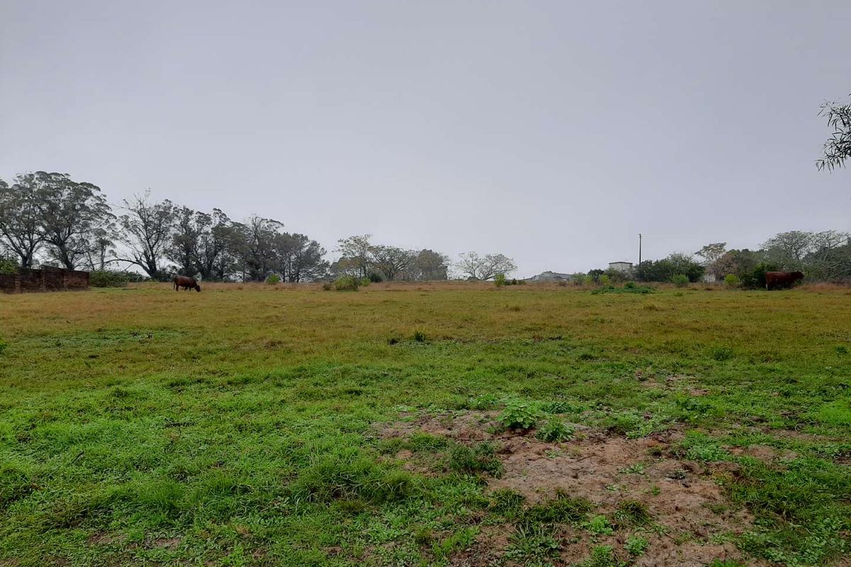 LARGE SIZED PLOT - Photo 2